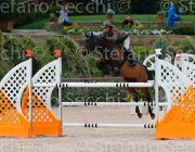 COATA S CHIKA CampITA2013- S5 1476 : CHIKA'S WAY, COATA SIMNONE, Campionati Italiani 2013, Cattolica, Horse Riviera Resort, foto di Stefano Secchi ©